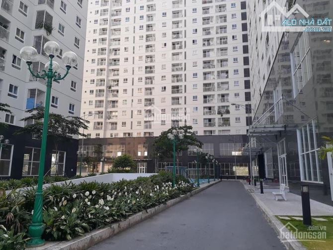 Phường Hòa Bình, Ho Chi Minh City