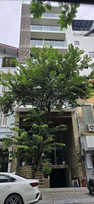Phường Vũng Tàu, Vũng Tàu