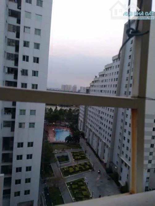 Phường Tân Mỹ, Ho Chi Minh City